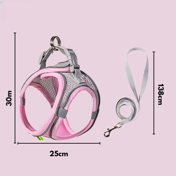 SafePaws®: Olvídate de collares básicos que lastiman a tu mascota