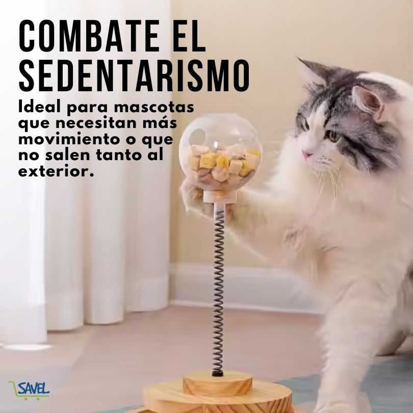 PlayBuddy®: Transforma el tiempo de juego y comida de tu mascota