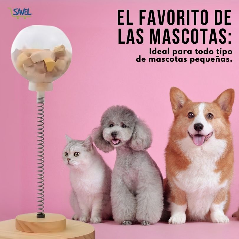 PlayBuddy®: Transforma el tiempo de juego y comida de tu mascota