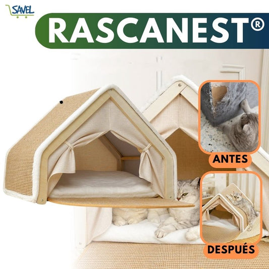 RascaNest®: El lugar seguro que tu hijo peludo necesita