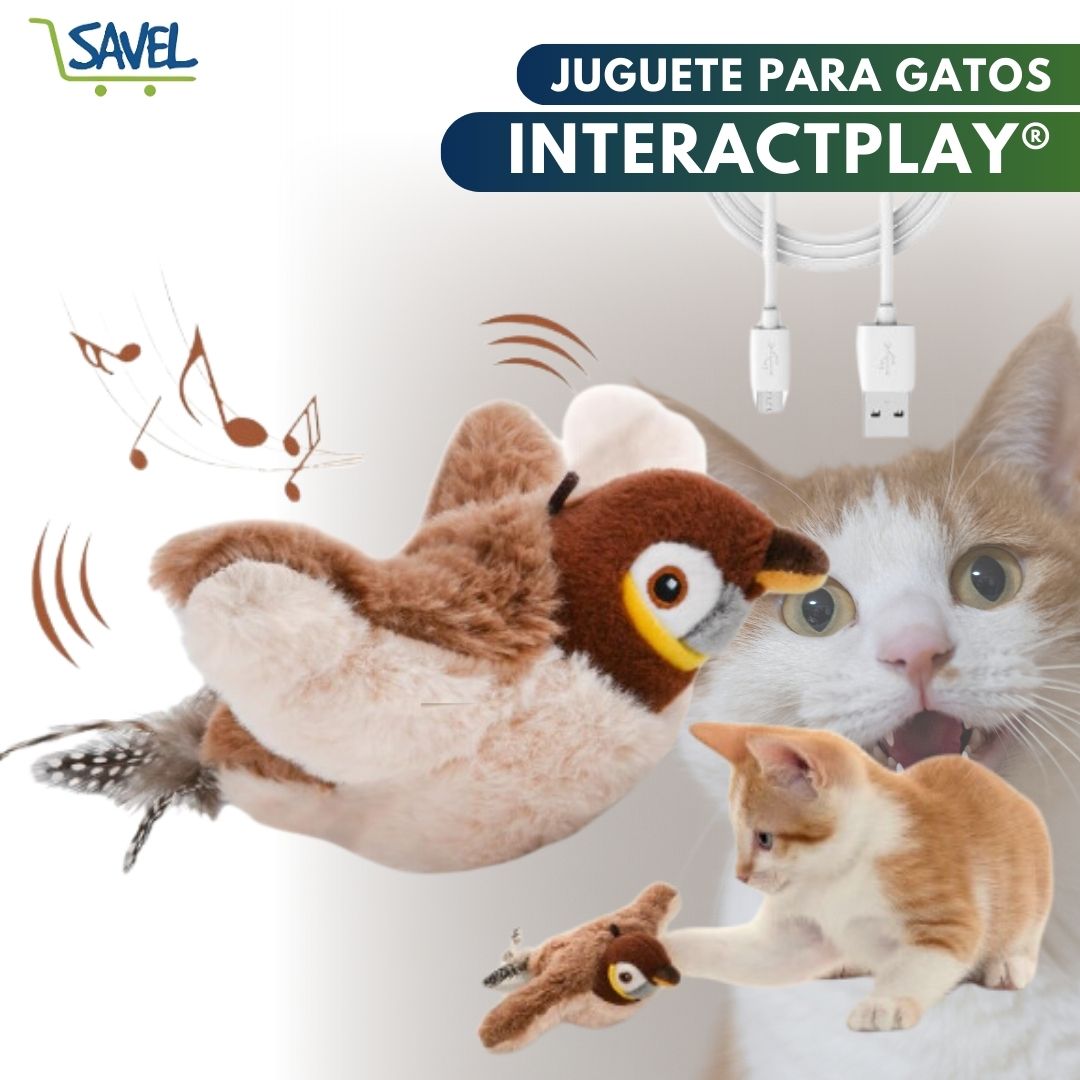 InteractPlay®: Evita el aburrimiento y la depresión en tu peludito