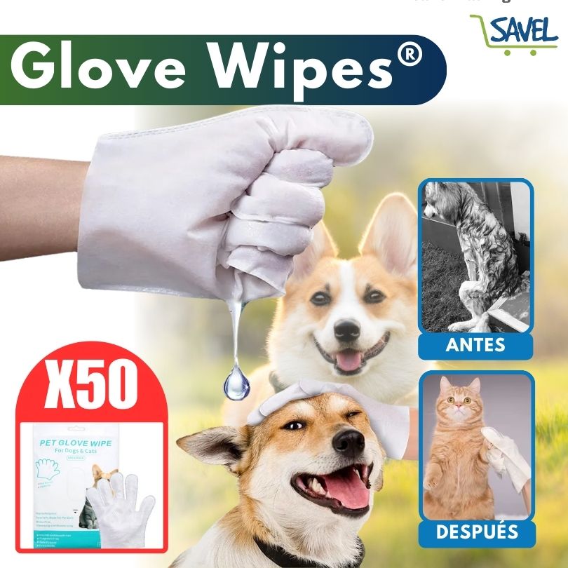 X50 Glove Wipes®: La forma más fácil y sin estrés de limpiar a tu mascota