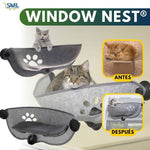 Window Nest®: Dale a tu peludo un lugar cómodo en el carro