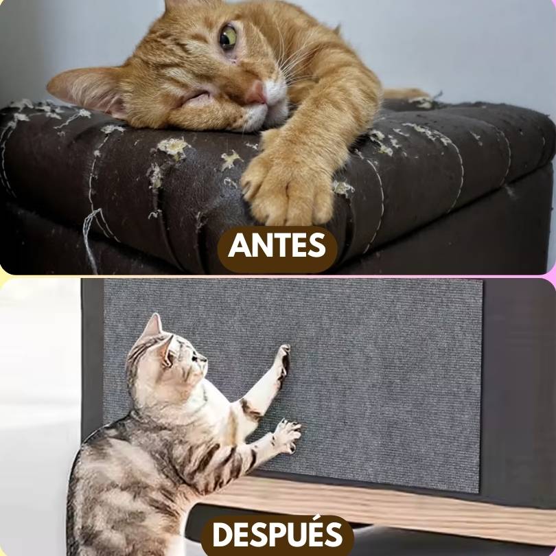 ScrapCat®: Haz que tu gato pueda rascar sin dañar tus muebles