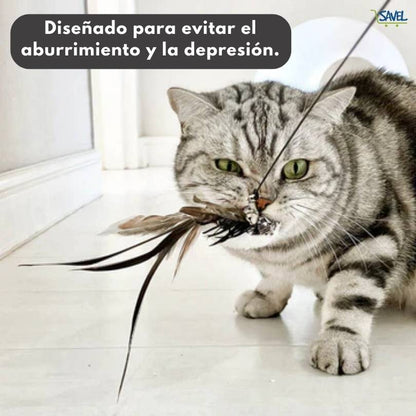 CatPlay®: Haz que tu gato esté entretenido incluso cuando no estás en casa