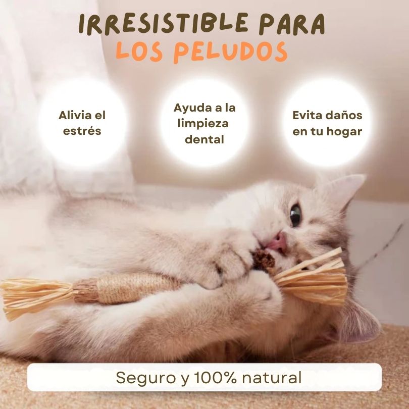 CatBite®: Cuida la salud dental de tu peludito