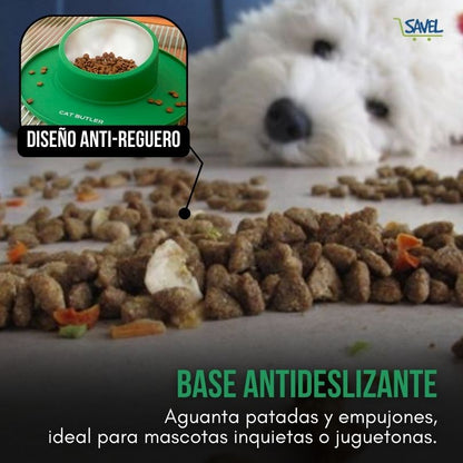 Stay Dish®: El plato que no se riega ni se mueve.