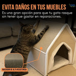 RascaNest®: El lugar seguro que tu hijo peludo necesita