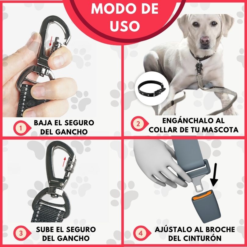 SafeStrap®: Dale a tu macota seguridad en el carro
