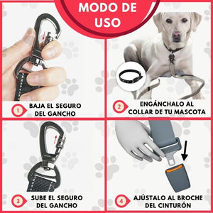 SafeStrap®: Dale a tu macota seguridad en el carro