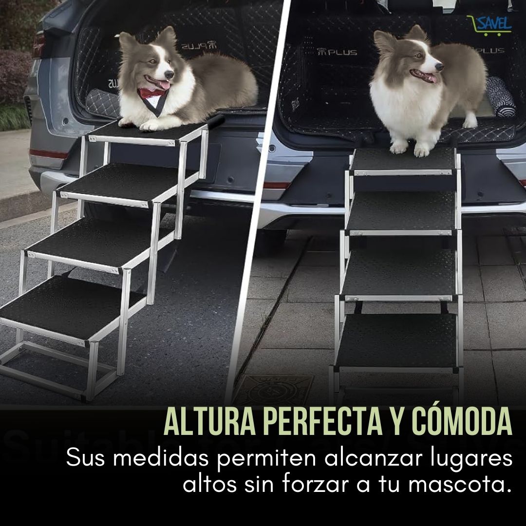 PupStep®: Ayuda a tu peludo a subir con seguridad