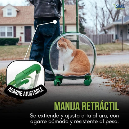 PawView®: Olvídate de paseos inseguros y con estrés