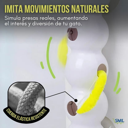 HuntWall®: Despierta el instinto cazador de tu gato