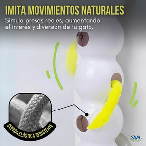 HuntWall®: Despierta el instinto cazador de tu gato