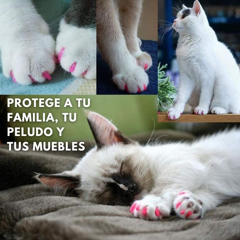 x20 NailProtect®: Cuída de las uñas de tu gato de manera segura