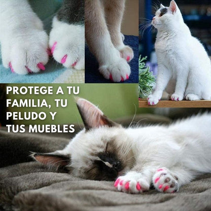 x20 NailProtect®: Cuída de las uñas de tu gato de manera segura