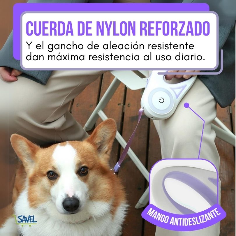 Pup Glow®: Pasea a tu perro sin miedo a la oscuridad