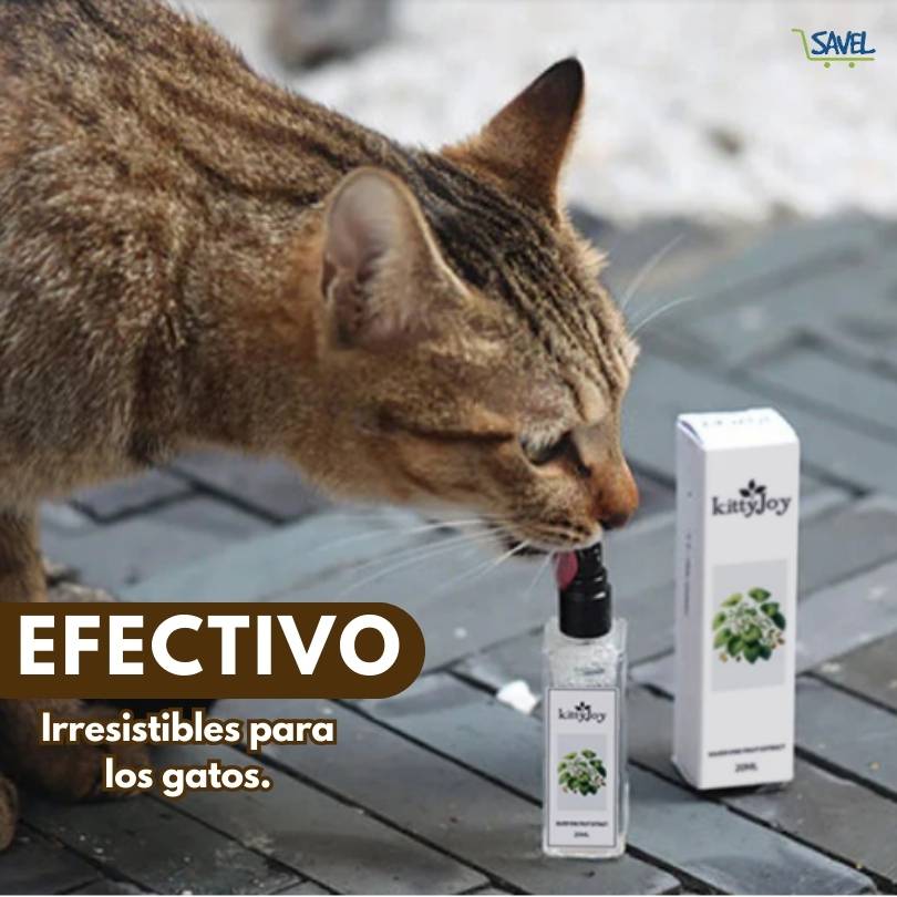 KittyJoy® 20ml: Haz que tu gato ame sus cosas