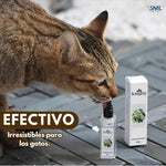 KittyJoy® 20ml: Haz que tu gato ame sus cosas