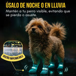 PawGlow®:  Tu perro se verá sin importar la hora ni el lugar