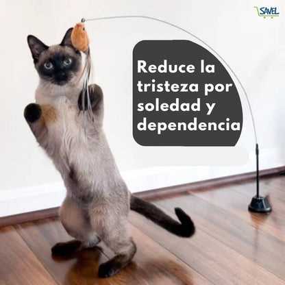 CatPlay®: Haz que tu gato esté entretenido incluso cuando no estás en casa