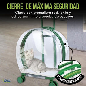 PawView®: Olvídate de paseos inseguros y con estrés