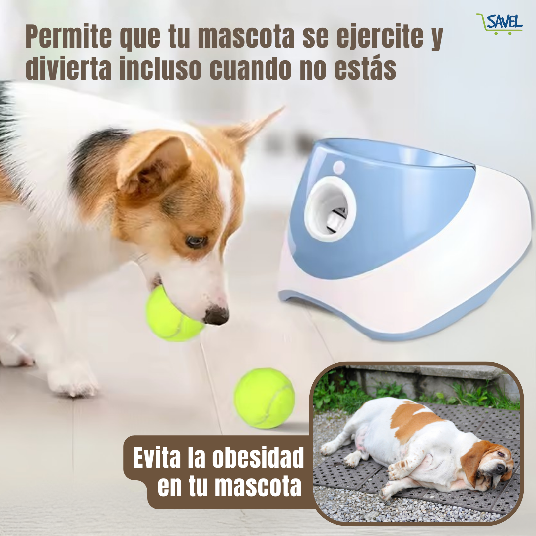 FetchMaster®: Diversión sin fin para tu mascota.