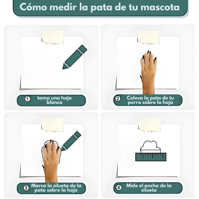 PawProtect®: Máxima protección para las patas de tu mascota