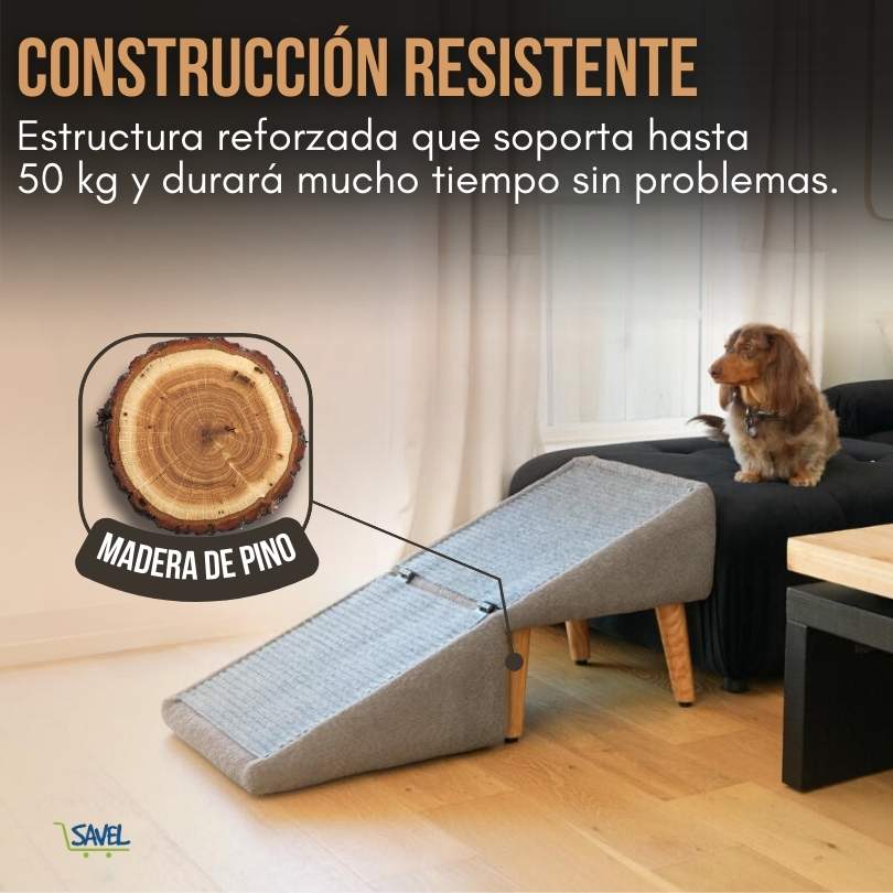Paw Lift®: Felicidad e independencia para tu peludito