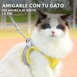 SafePaws®: Olvídate de collares básicos que lastiman a tu mascota
