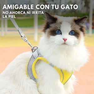 SafePaws®: Olvídate de collares básicos que lastiman a tu mascota
