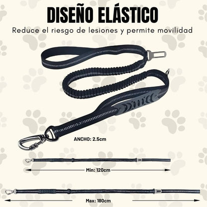 SafeStrap®: Dale a tu macota seguridad en el carro