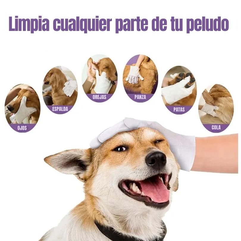 X20 Glove Wipes®: La forma más fácil y sin estrés de limpiar a tu mascota