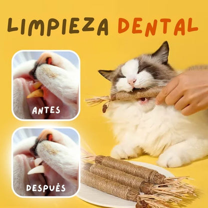 CatBite®: Cuida la salud dental de tu peludito