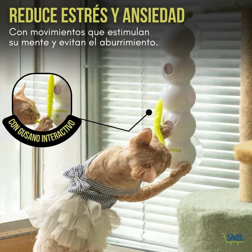 HuntWall®: Despierta el instinto cazador de tu gato
