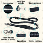 SafeStrap®: Dale a tu macota seguridad en el carro