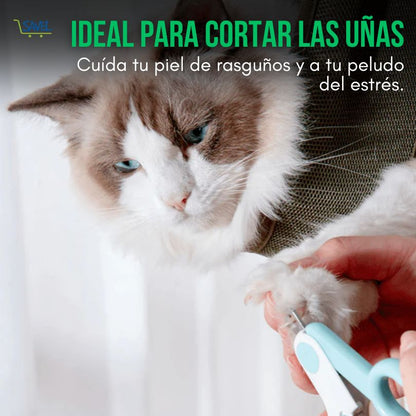 Paw Hammock®: La forma más fácil de acicalar a tu mascota