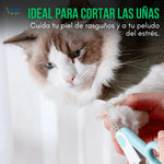 Paw Hammock®: La forma más fácil de acicalar a tu mascota