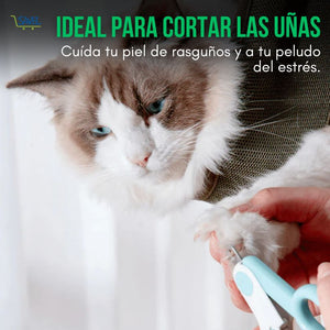 Paw Hammock®: La forma más fácil de acicalar a tu mascota