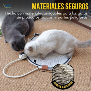ScratchNest®: Dale a tu gato el rascador que se merece