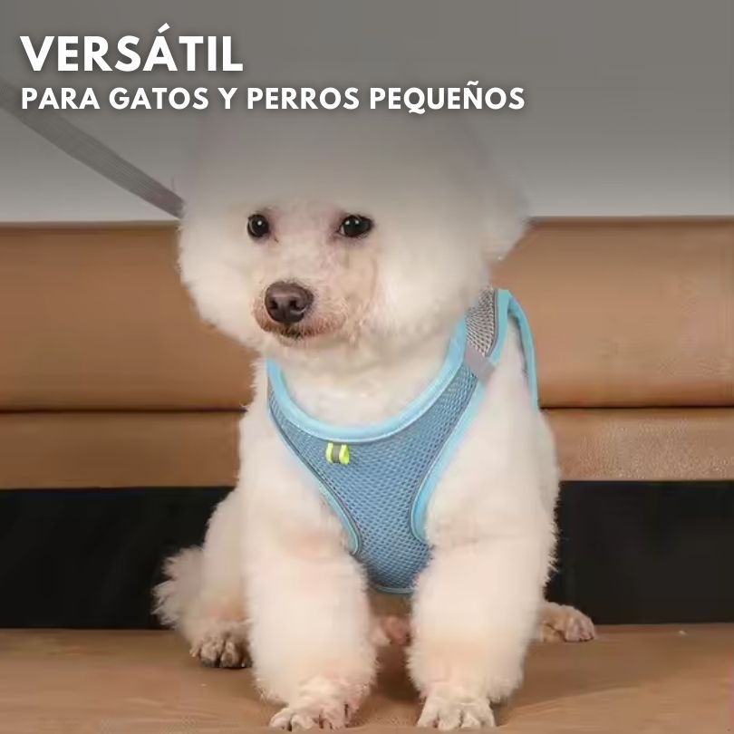 SafePaws®: Olvídate de collares básicos que lastiman a tu mascota