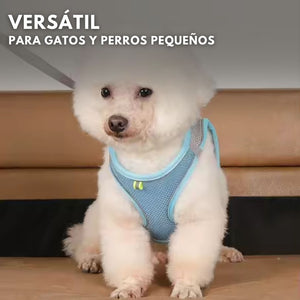 SafePaws®: Olvídate de collares básicos que lastiman a tu mascota