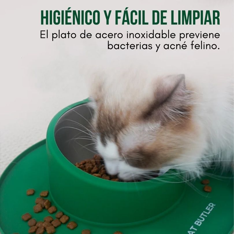 Stay Dish®: El plato que no se riega ni se mueve.