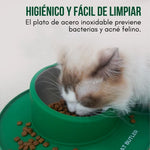 Stay Dish®: El plato que no se riega ni se mueve.