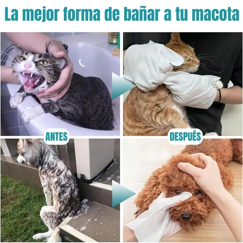 X50 Glove Wipes®: La forma más fácil y sin estrés de limpiar a tu mascota
