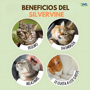 KittyJoy® 20ml: Haz que tu gato ame sus cosas