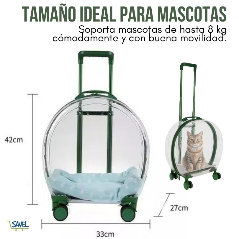 PawView®: Olvídate de paseos inseguros y con estrés