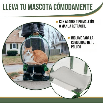 PawView®: Olvídate de paseos inseguros y con estrés