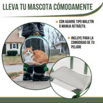 PawView®: Olvídate de paseos inseguros y con estrés