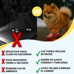 PawGlow®:  Tu perro se verá sin importar la hora ni el lugar